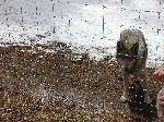 004_2009-0214-1214-51-JoeA.jpg